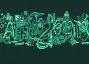 a marca que nasceu no leito de um rio o branding territorial da amazónia